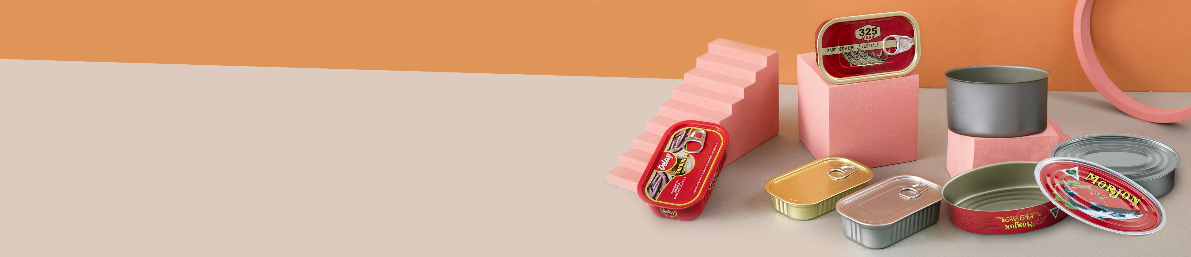 Two-Piece Tin Cans-Sustainable Tin Packaging