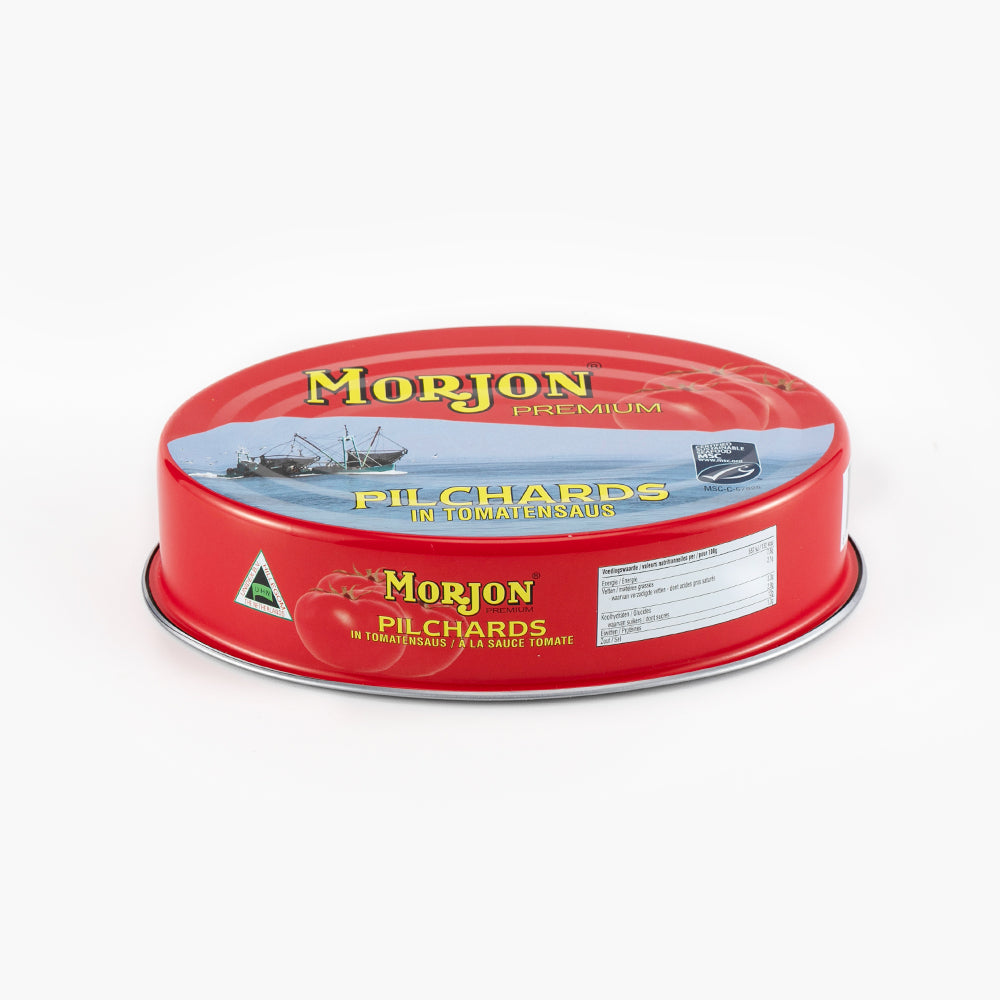 T601 Colored Iron oval can