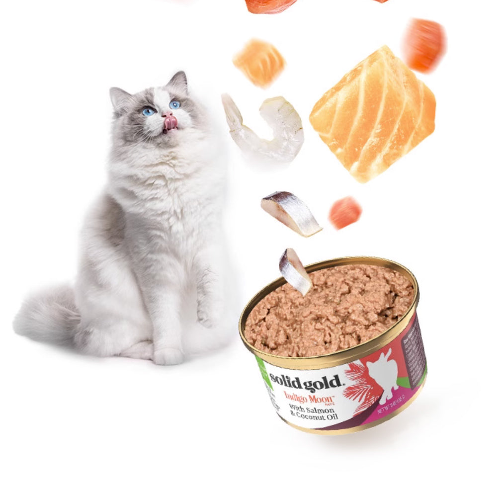 canned cat food