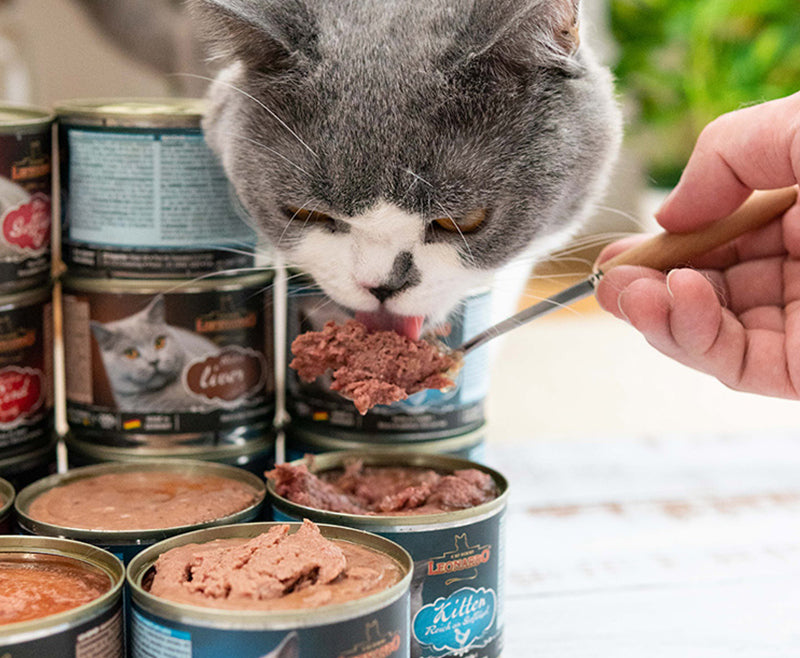 Canned Pet food