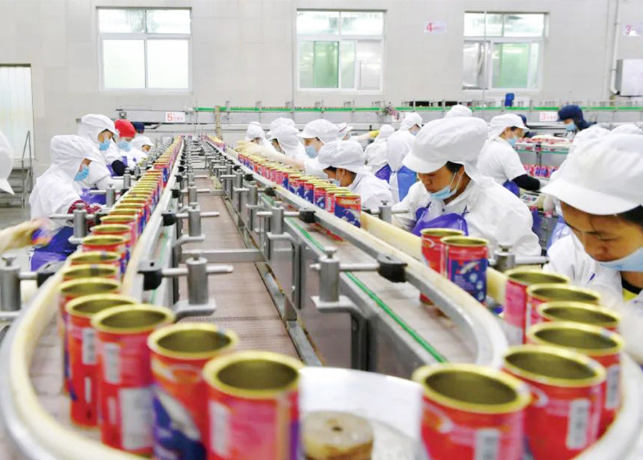 canned food production